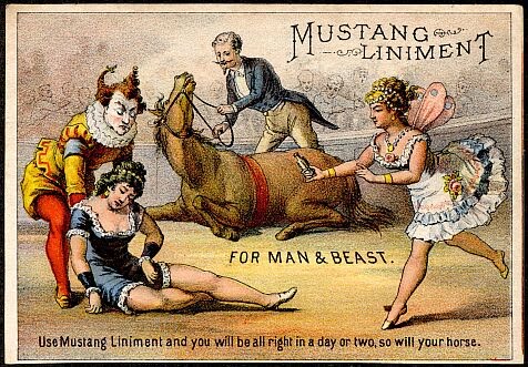A circa-1880s Ad For “Mexican Mustang Liniment” Produced By The Lyon Manufacturing Company Shows That The Medicine Can Cure Both Horses And Humans (Meyer 2012).